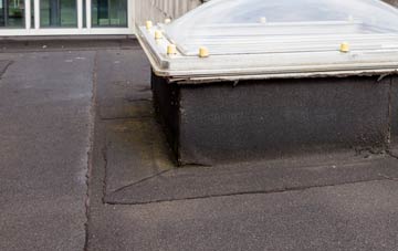 disadvantages of High Newton flat roofs