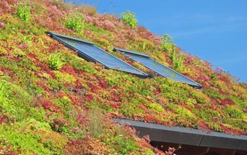 High Newton living roof systems